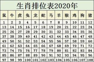 2020年是什么年,2020年是什么年属什么生肖