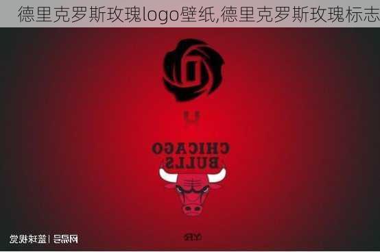 德里克罗斯玫瑰logo壁纸,德里克罗斯玫瑰标志