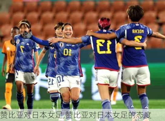 赞比亚对日本女足,赞比亚对日本女足的态度