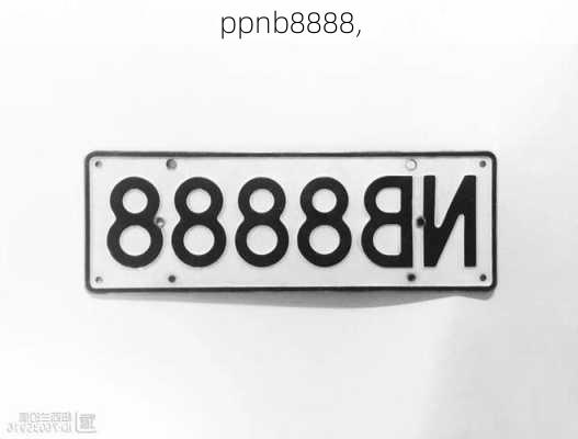 ppnb8888,