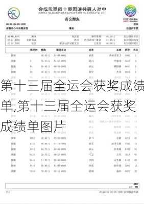 第十三届全运会获奖成绩单,第十三届全运会获奖成绩单图片