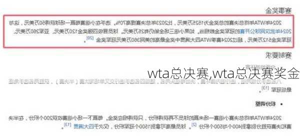 wta总决赛,wta总决赛奖金