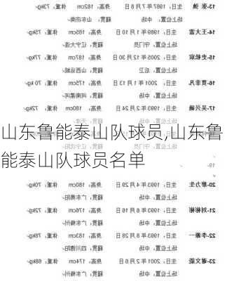 山东鲁能泰山队球员,山东鲁能泰山队球员名单