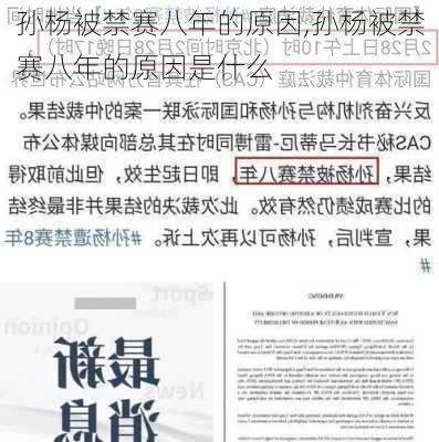 孙杨被禁赛八年的原因,孙杨被禁赛八年的原因是什么