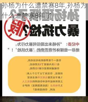 孙杨为什么遭禁赛8年,孙杨为什么遭禁赛8年了