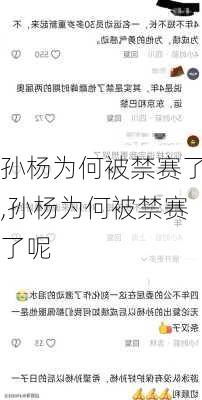 孙杨为何被禁赛了,孙杨为何被禁赛了呢