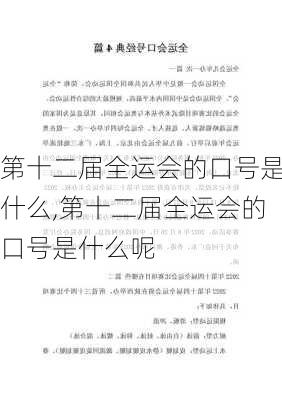 第十二届全运会的口号是什么,第十二届全运会的口号是什么呢