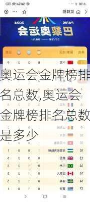 奥运会金牌榜排名总数,奥运会金牌榜排名总数是多少