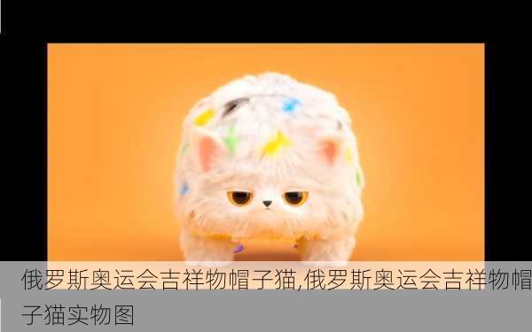 俄罗斯奥运会吉祥物帽子猫,俄罗斯奥运会吉祥物帽子猫实物图