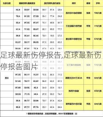 足球最新伤停报告,足球最新伤停报告图片