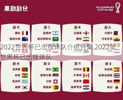 2022世界杯已出线球队介绍合集,2022年世界杯已出线球队