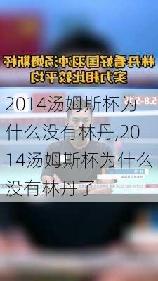 2014汤姆斯杯为什么没有林丹,2014汤姆斯杯为什么没有林丹了