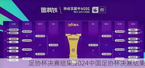 足协杯决赛结果,2024中国足协杯决赛结果