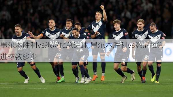 墨尔本胜利vs悉尼fc总进球,墨尔本胜利vs悉尼fc总进球数多少