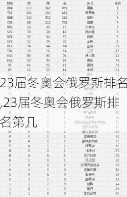 23届冬奥会俄罗斯排名,23届冬奥会俄罗斯排名第几