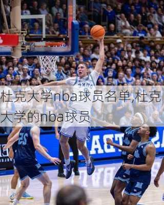 杜克大学nba球员名单,杜克大学的nba球员