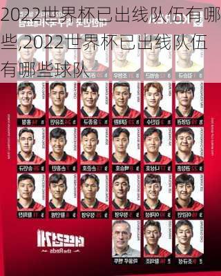 2022世界杯已出线队伍有哪些,2022世界杯已出线队伍有哪些球队