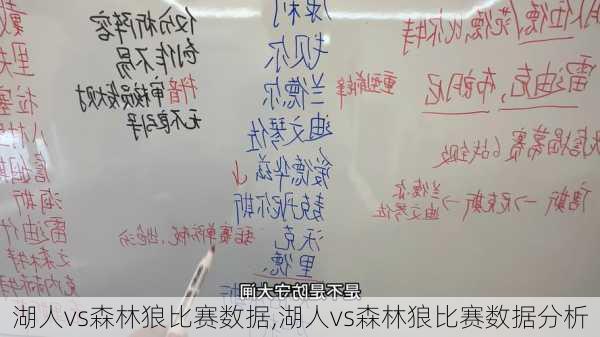 湖人vs森林狼比赛数据,湖人vs森林狼比赛数据分析